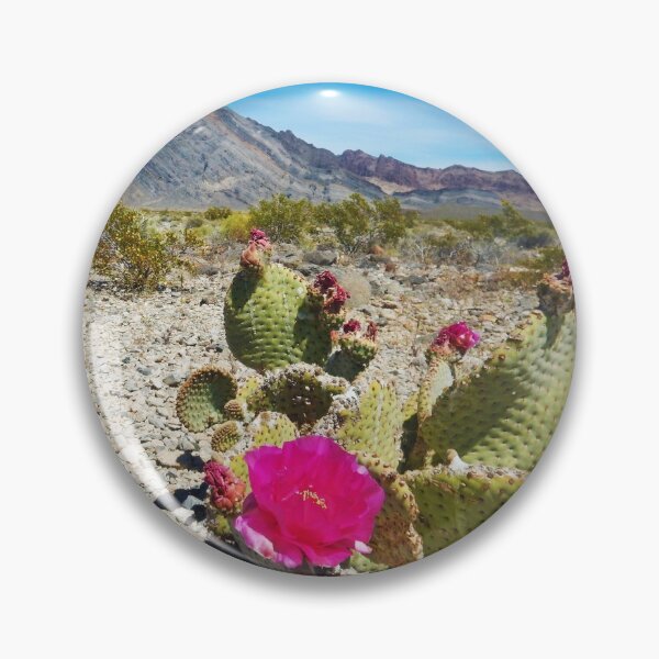 Artikelvorschau, Ein blühender Beavertail in der Nähe von Death Valley entworfen und verkauft von garne4.