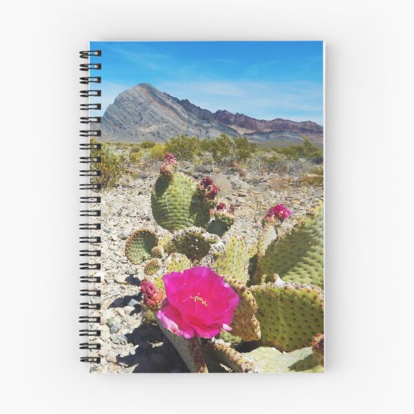 Artikelvorschau, Ein blühender Beavertail in der Nähe von Death Valley entworfen und verkauft von garne4.