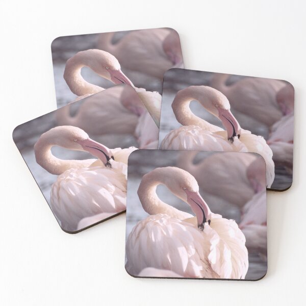 Item preview, Preening flamingo designed and sold by cdkphotos.