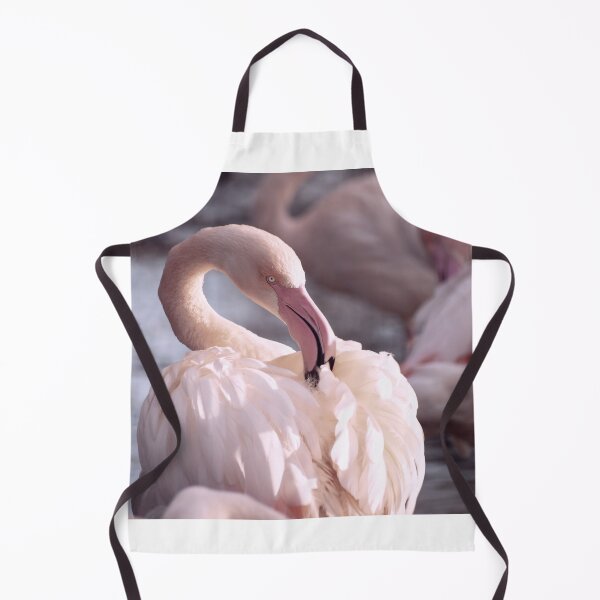 Item preview, Preening flamingo designed and sold by cdkphotos.