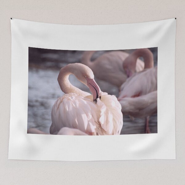 Item preview, Preening flamingo designed and sold by cdkphotos.