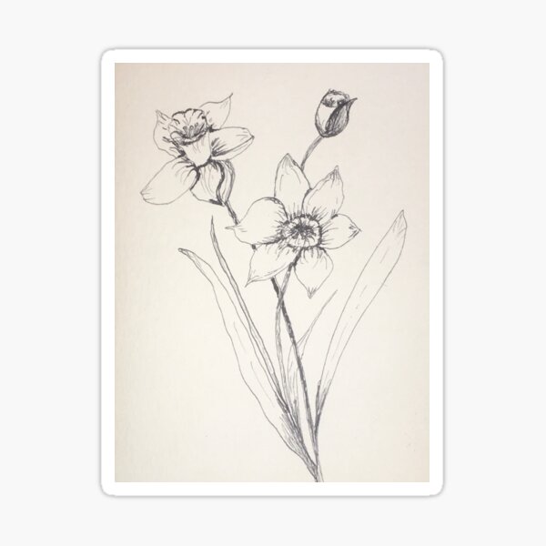 Dancing daffodils by Tola Sticker