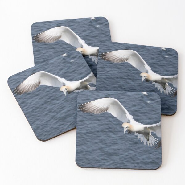 Item preview, Ganet flying designed and sold by Marion Joncheres.