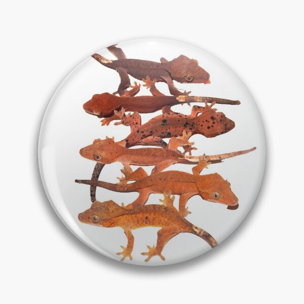 Item preview, Red crested gecko colour chart designed and sold by bubbaclez.