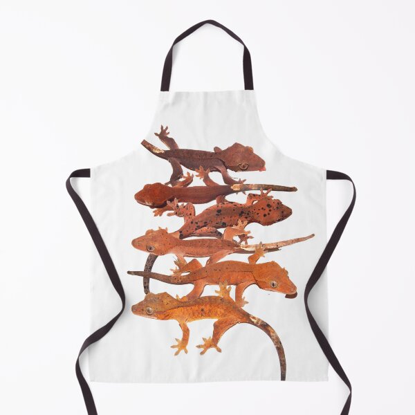 Item preview, Red crested gecko colour chart designed and sold by bubbaclez.