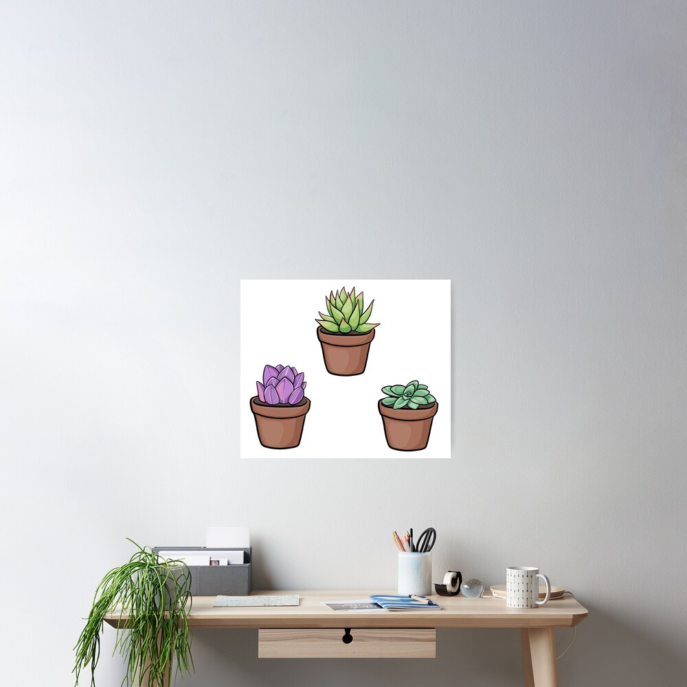 Succulent plant pack