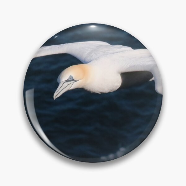 Item preview, Ganet looking for its nest designed and sold by Marion Joncheres.