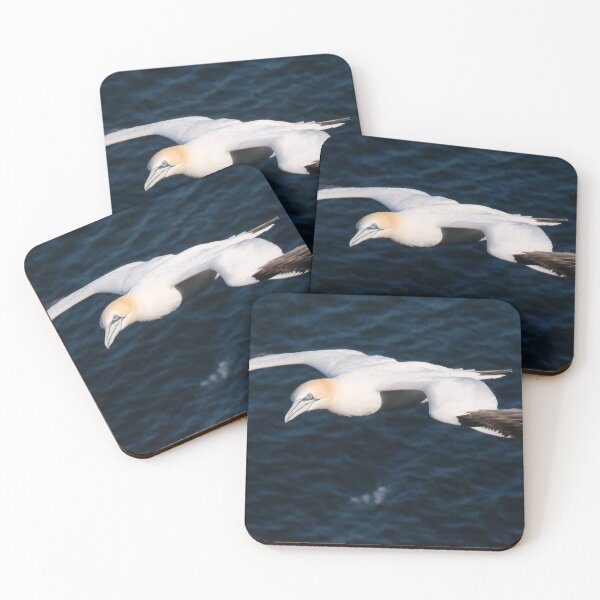 Item preview, Ganet looking for its nest designed and sold by Marion Joncheres.