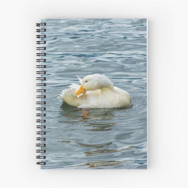 Item preview, White Duck Preening at Lake designed and sold by DFLC Prints.