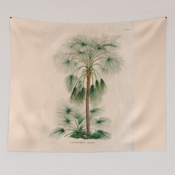 Item preview, Livistonia Humilis by Ferdinand Bauer designed and sold by redoARTstore.
