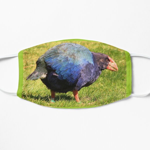New Zealand's Flightless Endangered Takahē Flat Mask