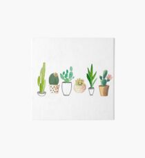 Potted Cacti Galeriedruck