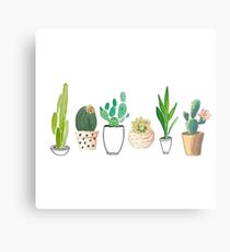 POTTED CACTI Metal Print