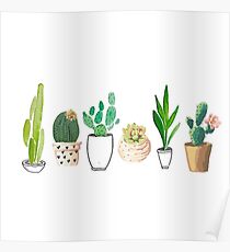 POTTED CACTI Poster