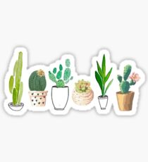 Pegatina POTTED CACTI