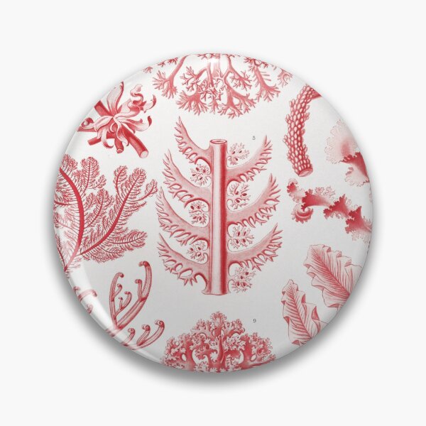 Item preview, Florideae–Rotalgen by Ernst Haeckel designed and sold by redoARTstore.