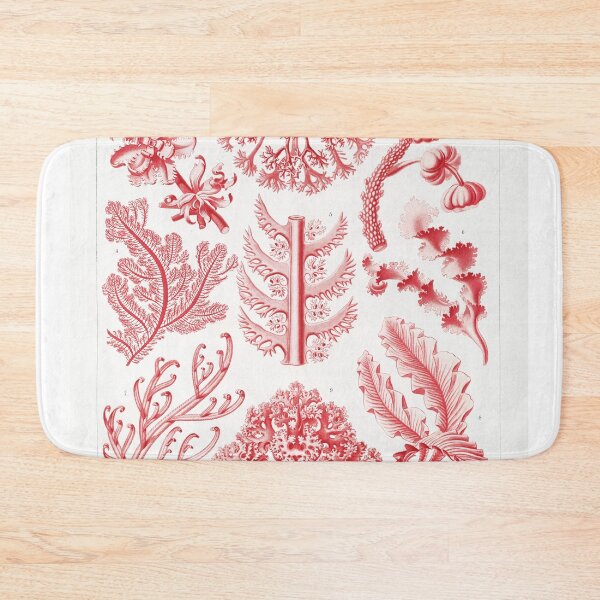 Item preview, Florideae–Rotalgen by Ernst Haeckel designed and sold by redoARTstore.