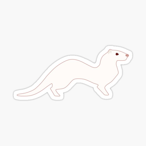 Albino Ferret Gifts Merchandise Redbubble