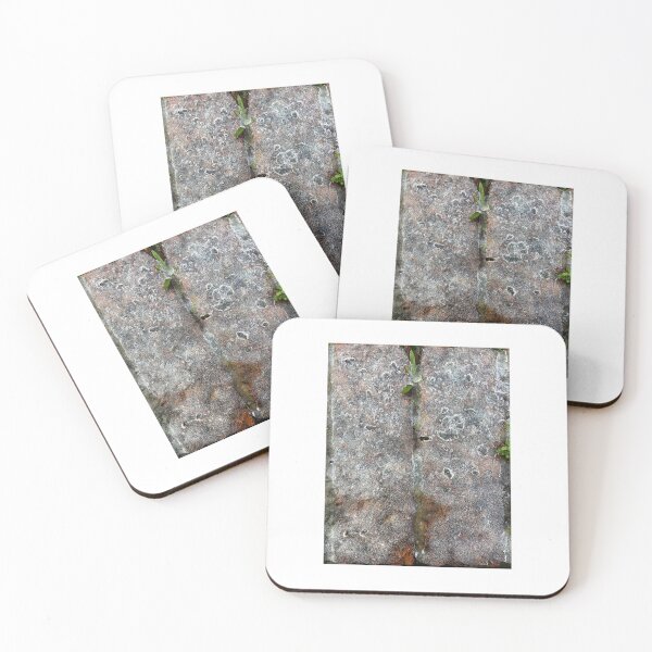 Item preview, Iced brick wall designed and sold by Ittele.
