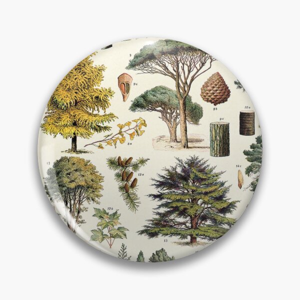 Item preview, Adolphe Millot Evergreen Trees Vintage Scientific Illustration Encyclopedia Labeled Diagrams  designed and sold by Ejaaz.