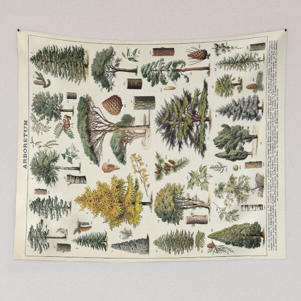 Item preview, Adolphe Millot Evergreen Trees Vintage Scientific Illustration Encyclopedia Labeled Diagrams  designed and sold by Ejaaz.