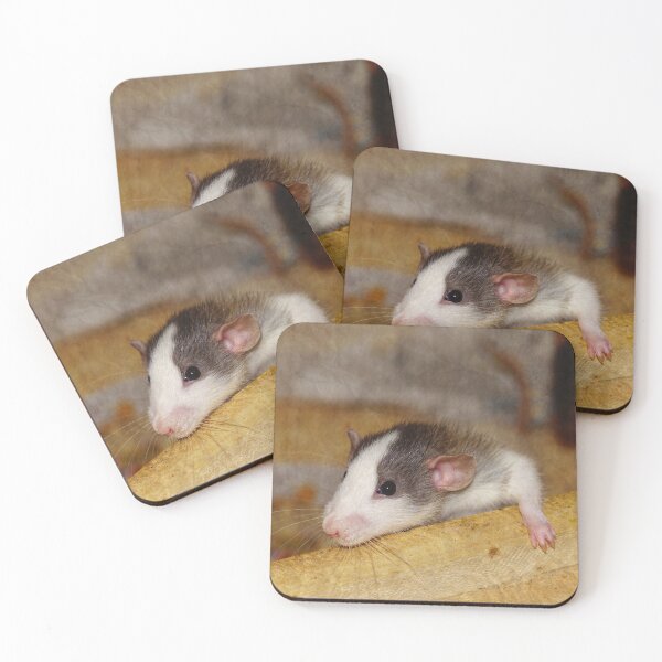 Item preview, Cute Rat designed and sold by Frankie Cat Photography.