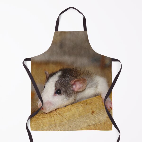 Item preview, Cute Rat designed and sold by Frankie Cat Photography.