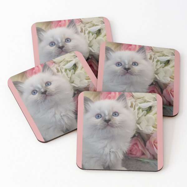 Item preview, Ragdoll kitten designed and sold by Fluffycat2020.