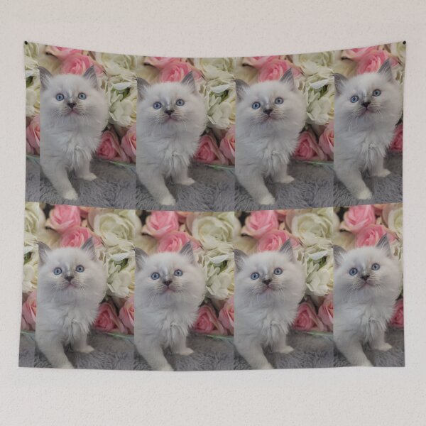 Item preview, Ragdoll kitten designed and sold by Fluffycat2020.