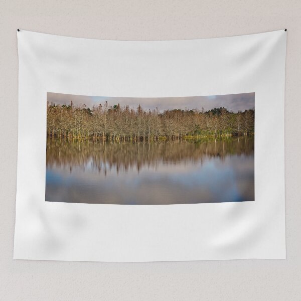 Item preview, Serenity at Gator Pond  designed and sold by John  Kapusta.