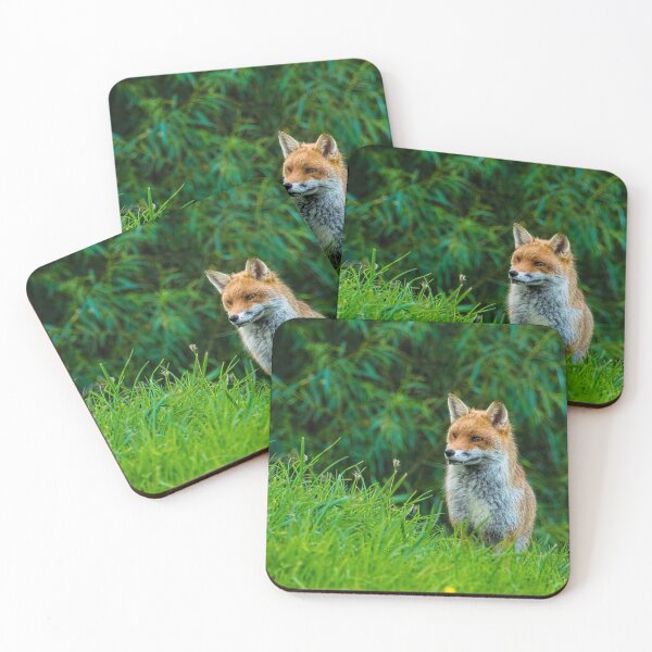 Item preview, #26 The Kegworth Fox designed and sold by phutball.