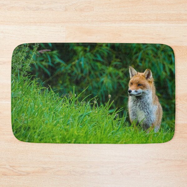 Item preview, #26 The Kegworth Fox designed and sold by phutball.