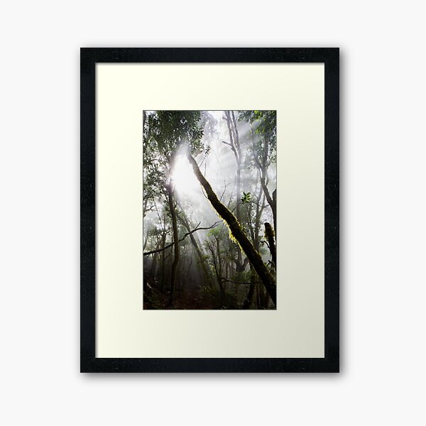 Garajonay Framed Art Print