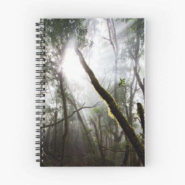 Item preview, Garajonay designed and sold by Robert Gall Photography.