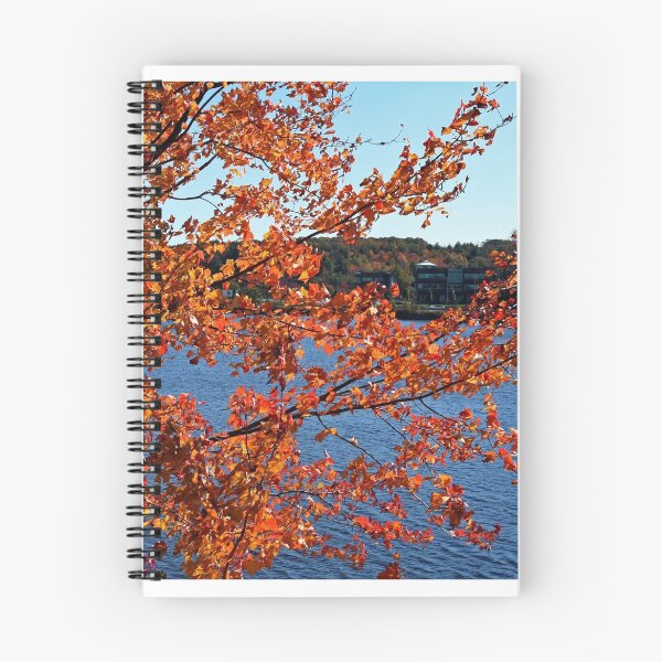 Item preview, Fall at Sudbury Reservoir designed and sold by renprovo.