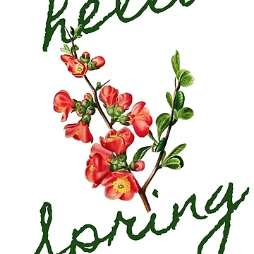 Artwork thumbnail, Hello, Spring by hashnan21