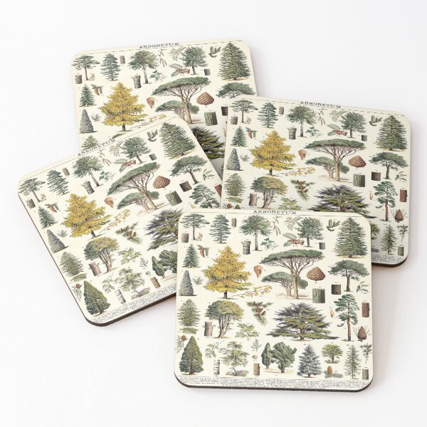 Item preview, Adolphe Millot Evergreen Trees Vintage Scientific Illustration Encyclopedia Labeled Diagrams  designed and sold by Ejaaz.