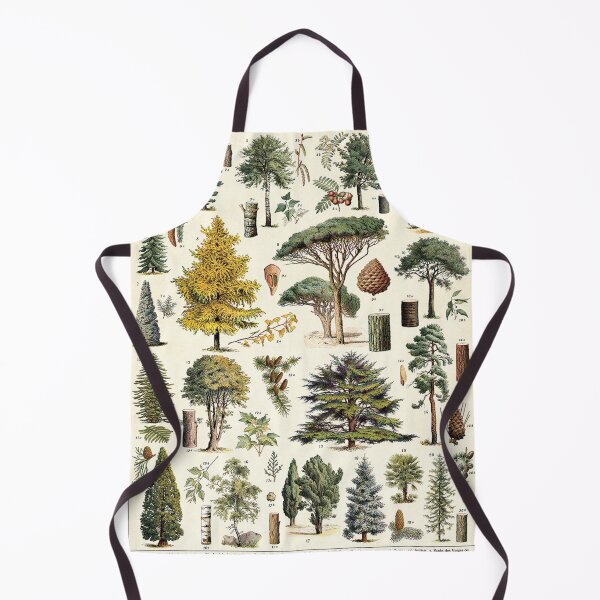 Item preview, Adolphe Millot Evergreen Trees Vintage Scientific Illustration Encyclopedia Labeled Diagrams  designed and sold by Ejaaz.