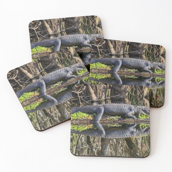 Item preview, Nap Time!  designed and sold by John  Kapusta.