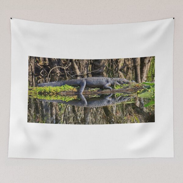 Item preview, Nap Time!  designed and sold by John  Kapusta.