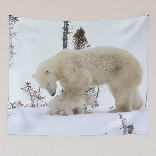 Item preview, Mother polar bear watching over her cubs designed and sold by Marion Joncheres.