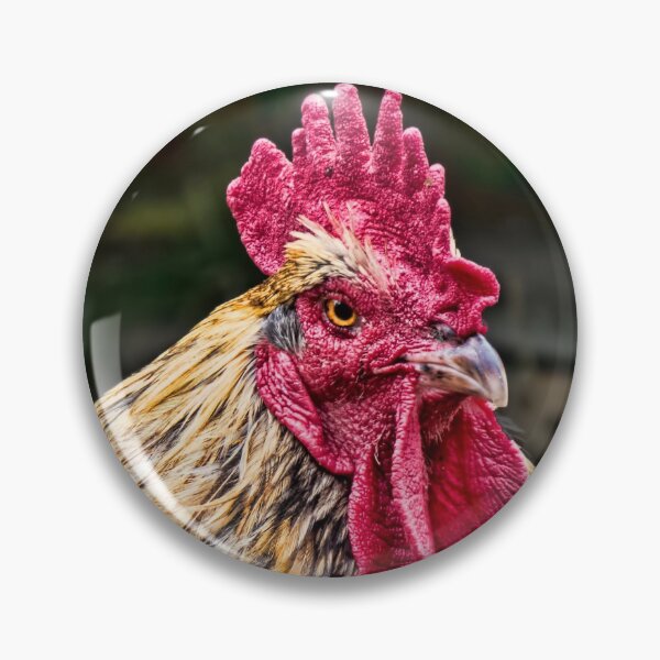 Item preview, # 28 Gallo, Gallo designed and sold by phutball.