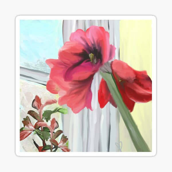 Blooming Amaryllis and Poinsettia Sticker