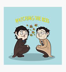 Watching The Bees. Photographic Print