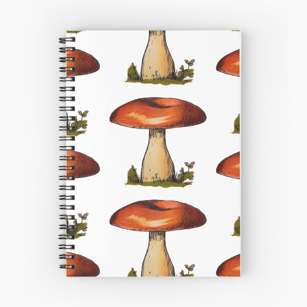 Aperçu de l'œuvre Champignon Rouge Nature Cottage Core créée et vendue par NeonTesla.