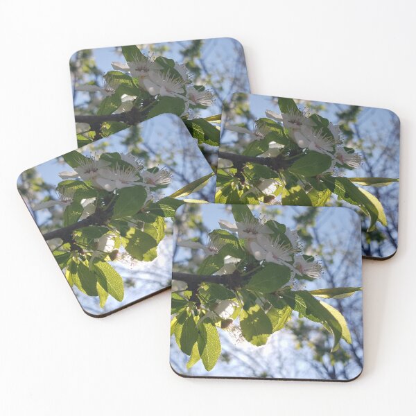 Item preview, White Flower Sky designed and sold by PhotoPhylosophy.