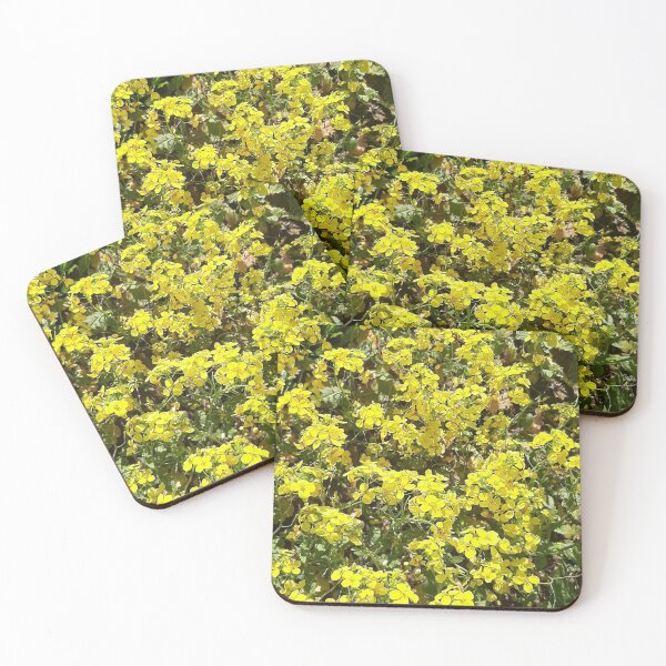 Item preview, Foto Spring Primavera Flowers designed and sold by ADAMYASS.