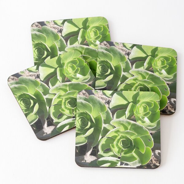 Item preview, Foto Cactus designed and sold by ADAMYASS.