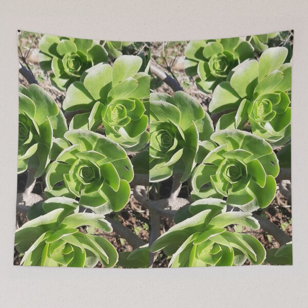 Item preview, Foto Cactus designed and sold by ADAMYASS.
