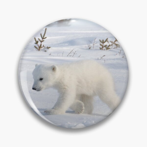 Item preview, Pola bear cubs designed and sold by Marion Joncheres.